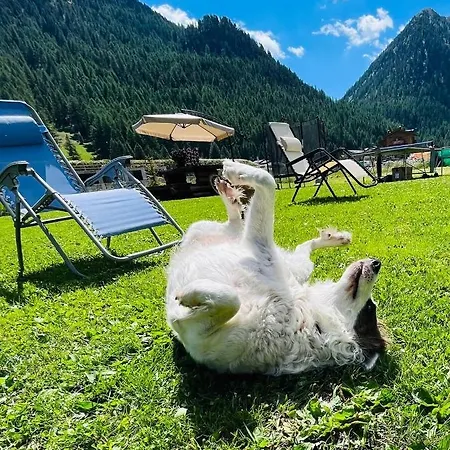 Apartment Sunshine Livigno